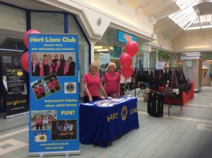 Volunteers fayre